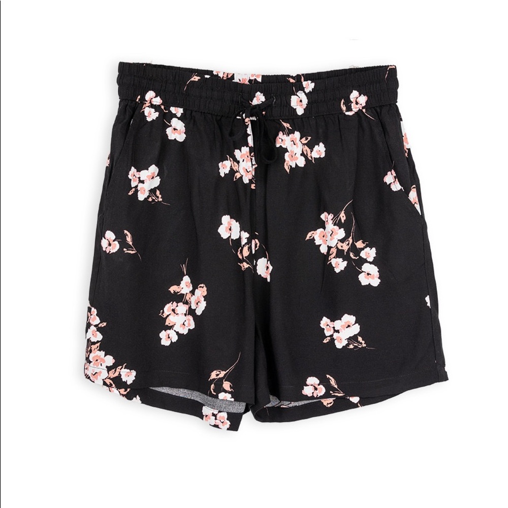 Santa Cruz Shorts